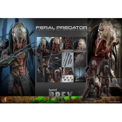 Feral Predator Hot Toys figure TMS114 (Prey)