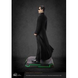 Neo Darkside Collectibles 20th anniversary edition 1/4 statue (Matrix)