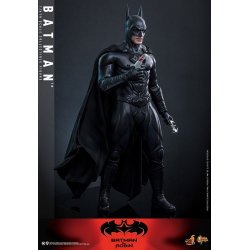 Batman Hot Toys MMS786 - Batman e Robin action figure 1/6