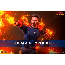 Human Torche Hot Toys mms789 - figurine Deadpool et Wolverine 1/6