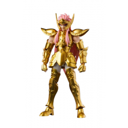 Aquarius Camus Classe Campione di Blokees - Saint Seiya 16 cm action figure - Riferimento 08