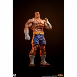 Sagat e Juli (Street Jam) di Premium Collectibles Studio - Statua in scala 1/10 di Street Fighter