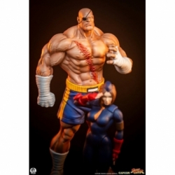 Sagat e Juli (Street Jam) di Premium Collectibles Studio - Statua in scala 1/10 di Street Fighter