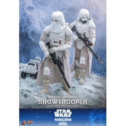 Imperial Remnant Snowtrooper van Hot Toys - MMS838 - Star Wars: The Mandalorian and Grogu 1/6 schaal actiefiguur
