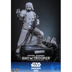 Imperial Remnant Snowtrooper by Hot Toys - MMS838 - Star Wars: The Mandalorian and Grogu 1/6 scale action figure