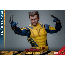 Wolverine Hot Toys MMS754 Movie Masterpiece deluxe figurine 1/6 (Deadpool and Wolverine)