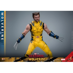 Wolverine Hot Toys MMS754 Movie Masterpiece deluxe figurine 1/6 (Deadpool and Wolverine)