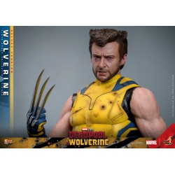 Wolverine Hot Toys MMS754 Movie Masterpiece deluxe figurine 1/6 (Deadpool and Wolverine)