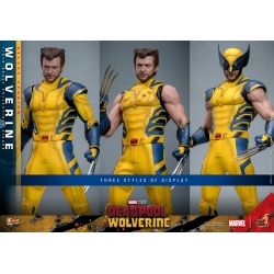 Wolverine Hot Toys MMS754 Movie Masterpiece deluxe figurine 1/6 (Deadpool and Wolverine)