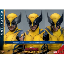 Wolverine Hot Toys MMS754 Movie Masterpiece deluxe figurine 1/6 (Deadpool and Wolverine)