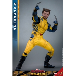 Wolverine Hot Toys MMS754 Movie Masterpiece deluxe figurine 1/6 (Deadpool and Wolverine)