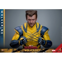 Wolverine Hot Toys MMS754 Movie Masterpiece deluxe figurine 1/6 (Deadpool and Wolverine)