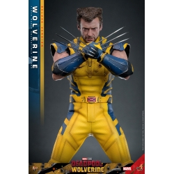 Wolverine Hot Toys MMS754 Movie Masterpiece deluxe figurine 1/6 (Deadpool and Wolverine)
