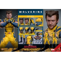 Wolverine Hot Toys MMS754 Movie Masterpiece deluxe figurine 1/6 (Deadpool and Wolverine)