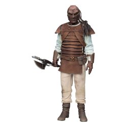 Pagetti Rook Sixth Scale by Sideshow Collectibles - Star Wars : Return Of The Jedi 1/6 scale action figure