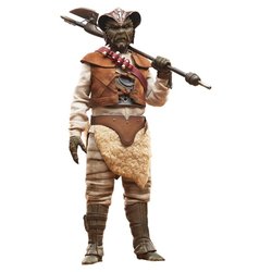 Wooof Sixth Scale par Sideshow Collectibles - figurine 1/6 Star Wars Le Retour Du Jedi de 32 cm
