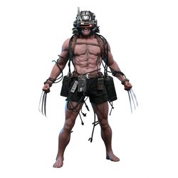 Weapon X por Hot Toys - CMS034 - Marvel Comics figura de acción figura de acción escala 1/6