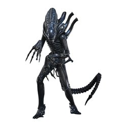 Alien Warrior Collector par Hot Toys - MMS898 - figurine 1/6 Aliens de 39 cm