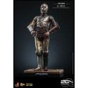C-3PO figurine Movie Masterpiece Hot Toys diecast MMS650D46 20th anniversary (Star Wars episode 2 : l'attaque des clones)