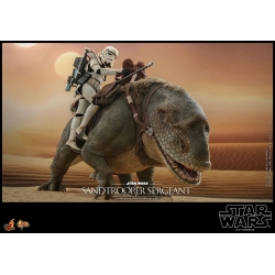 Sandtrooper Sergeant Hot Toys figure MMS721 (Star Wars Episode 4 a new hope)