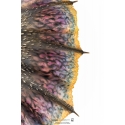 Nergigante Pure Arts statue (Monster Hunter World)