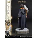 Harry Potter and Hedwig Prime 1 1/6 statue (Harry Potter)
