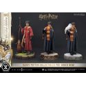 Harry Potter and Hedwig Prime 1 1/6 statue (Harry Potter)