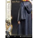 Harry Potter and Hedwig Prime 1 1/6 statue (Harry Potter)