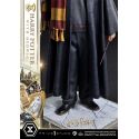 Harry Potter and Hedwig Prime 1 1/6 statue (Harry Potter)
