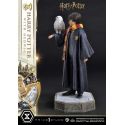 Harry Potter and Hedwig Prime 1 1/6 statue (Harry Potter)