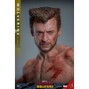 Wolverine TVA Jacket Hot Toys MMS756 - Deadpool and Wolverine 1/6 figure