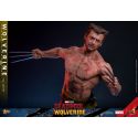Wolverine TVA Jacket Hot Toys MMS756 - Deadpool and Wolverine 1/6 figure