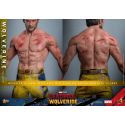 Wolverine TVA Jacket Hot Toys MMS756 - Deadpool and Wolverine 1/6 figure