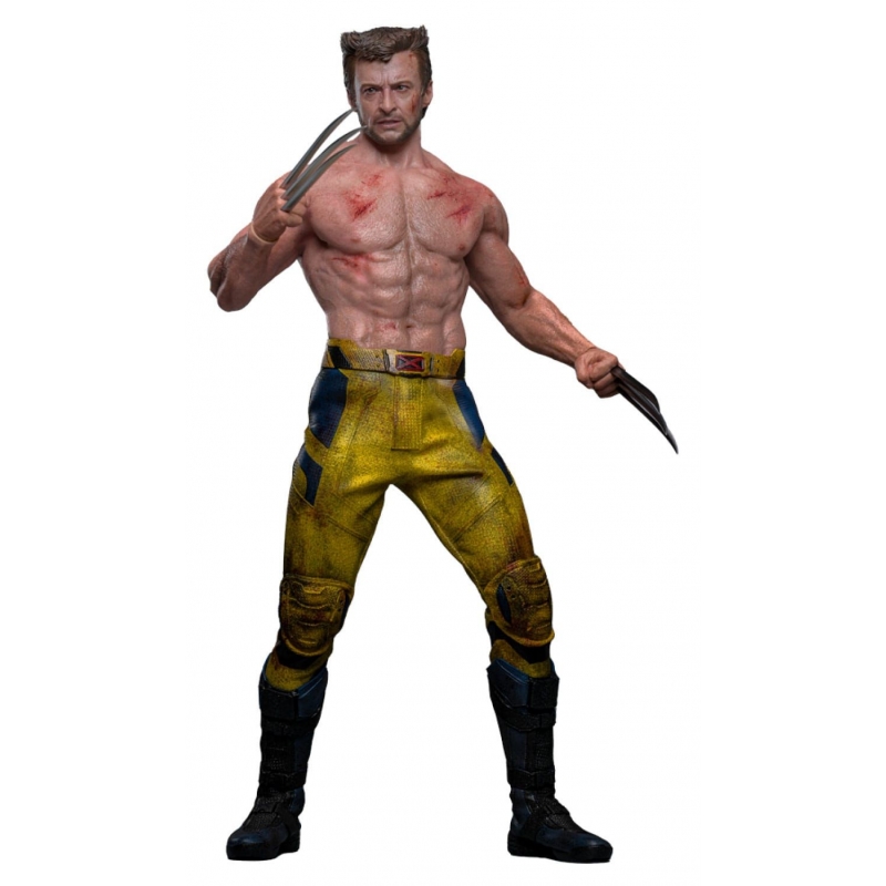 Wolverine TVA Jacket Hot Toys MMS756 : Deadpool and Wolverine figure