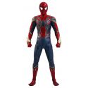 Iron Spider Hot Toys MMS761 - Avengers Endgame 1/6 figure