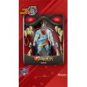 Mumm-Ra Led Eyes Ultimates Super7 - figurine 18 cm Cosmocats