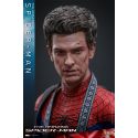 Spider-Man Hot Toys MMS771 - The Amazing Spider-Man 1/6 figure