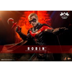 Robin Hot Toys MMS787 - Batman And Robin actiefiguur 1/6