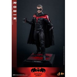 Robin Hot Toys MMS787 - Batman And Robin actiefiguur 1/6