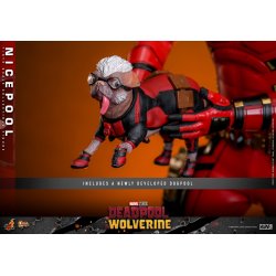 Nicepool Hot Toys mms788 - figurine Deadpool et Wolverine 1/6