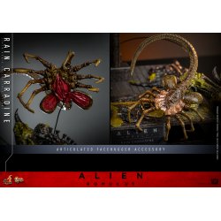 Rain Carradine Hot Toys MMS793 - Alien Romulus action figure 1/6