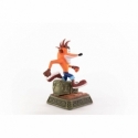 Crash Bandicoot Classic par First 4 Figures F4F - figurine de 32 cm