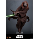 Saesee Tiin Movie Masterpiece par Hot Toys - figurine 1/6 Star Wars La Revanche Des Sith de 31 cm - Reference MMS820
