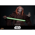 Saesee Tiin Movie Masterpiece par Hot Toys - figurine 1/6 Star Wars La Revanche Des Sith de 31 cm - Reference MMS820
