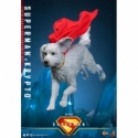 Superman et Krypto par Hot Toys - figurines 1/6 Superman 2025 de 33 cm - Reference MMS812 Superman et Krypto par Hot Toys - figurines 1/6 Superman 2025 de 33 cm - Reference MMS812