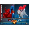 Superman et Krypto par Hot Toys - figurines 1/6 Superman 2025 de 33 cm - Reference MMS812 Superman et Krypto par Hot Toys - figurines 1/6 Superman 2025 de 33 cm - Reference MMS812