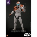 Clone Commando Boss par Hot Toys - figurine 1/6 Star Wars : The Clone Wars de 30 cm - Reference TMS151