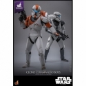 Clone Commando Boss par Hot Toys - figurine 1/6 Star Wars : The Clone Wars de 30 cm - Reference TMS151