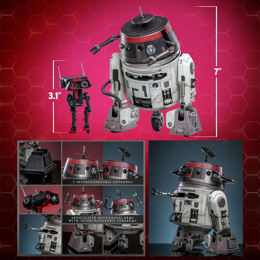 Chopper (C1-10P) and BD-1 (imperial disguise) by Hot Toys - Star Wars 1/6 scale action figure - Reference TMS152