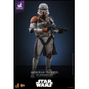 Airborne Trooper (212th attack battalion) by Hot Toys - Star Wars Episode III 1/6 scale action figure - Reference MMS794